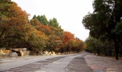 香山公园景点 北京香山公园旅游景点