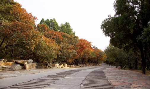 香山公园景点 北京香山公园门票预订