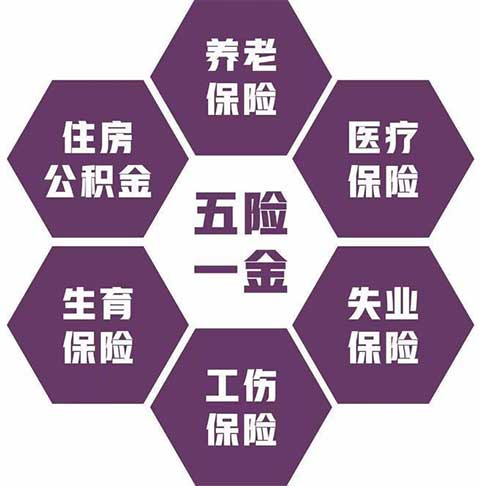 五险是哪五种保险，五险