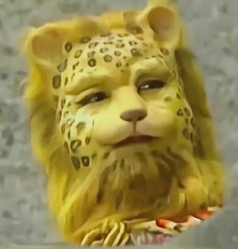 金钱豹头像是什么梗 换了就有钱?