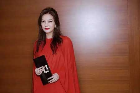 赵薇为什么被全网封主要原因